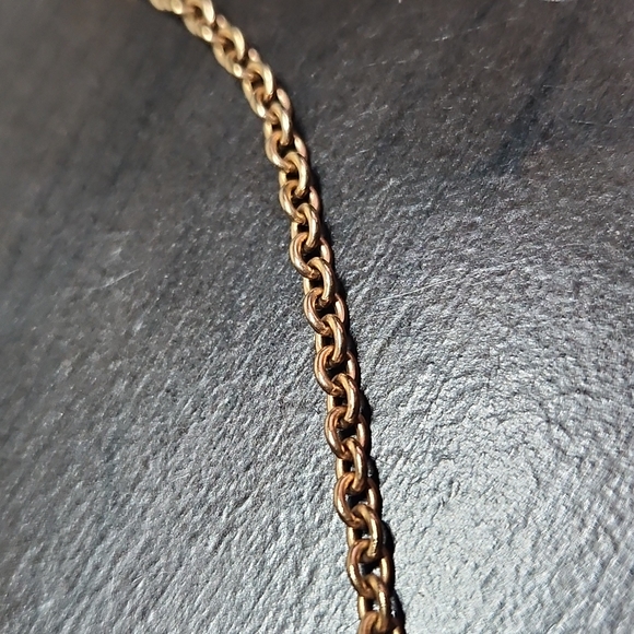 Fossil Necklace - Picture 3 of 7